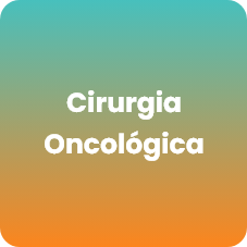 Grupo 6